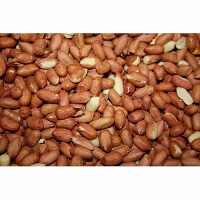 Turn Organic Peanut 500 Gm