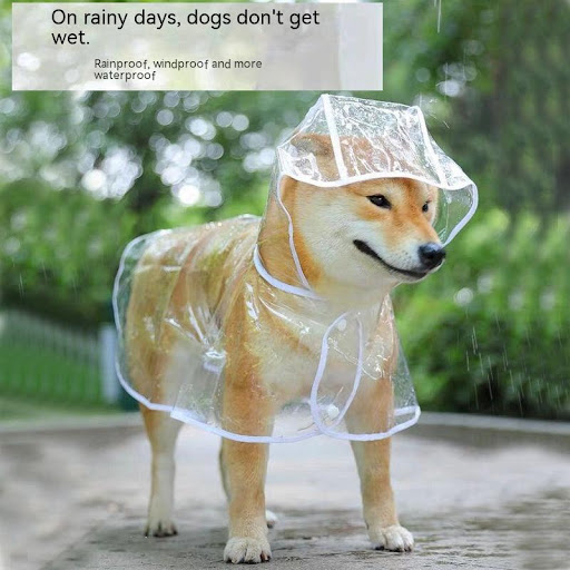 Title 5, Small Dog Raincoat, waterproof and lightweight,...