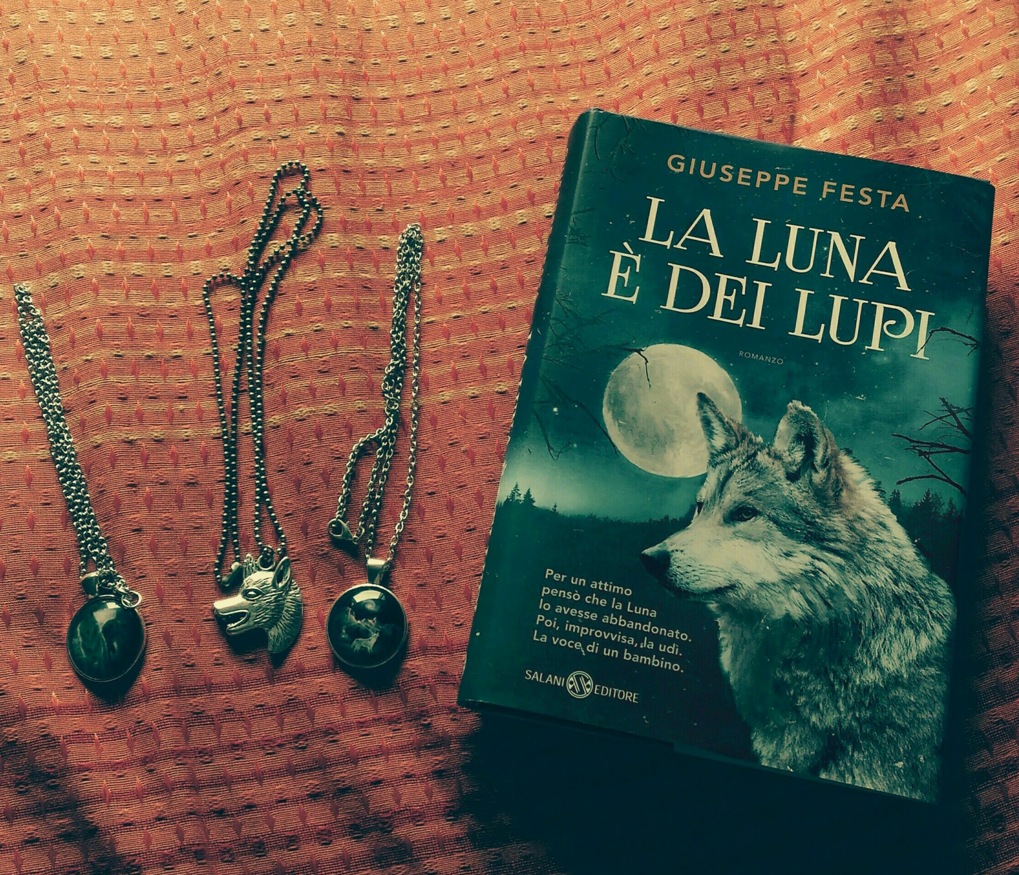 Libro e lupi di DannySkylix