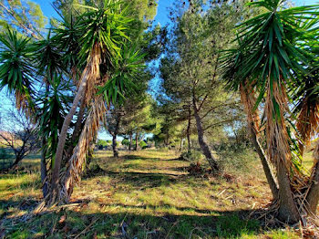 terrain à batir à Alignan-du-Vent (34)