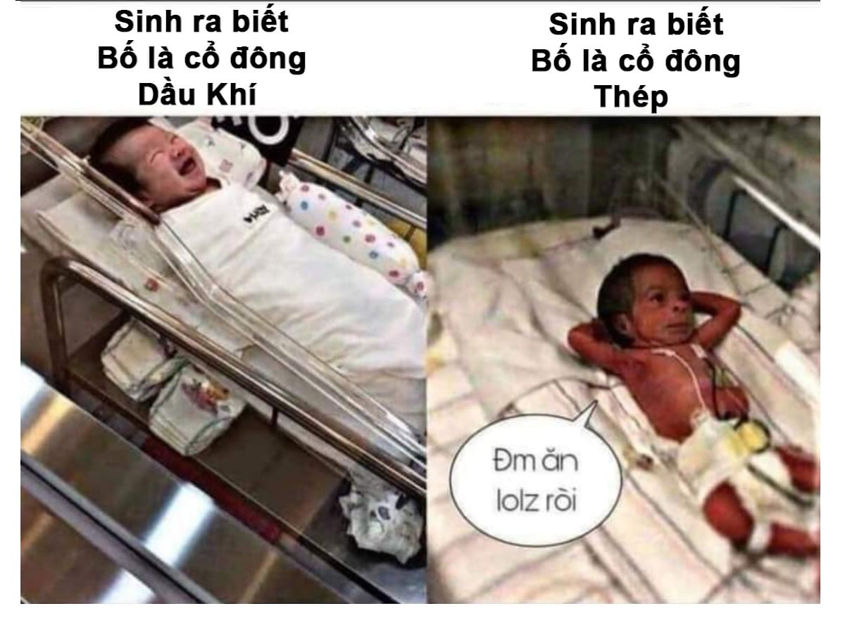 sinh cùng ngày mà hai số phận...