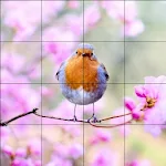 Tile Puzzles · Spring Apk