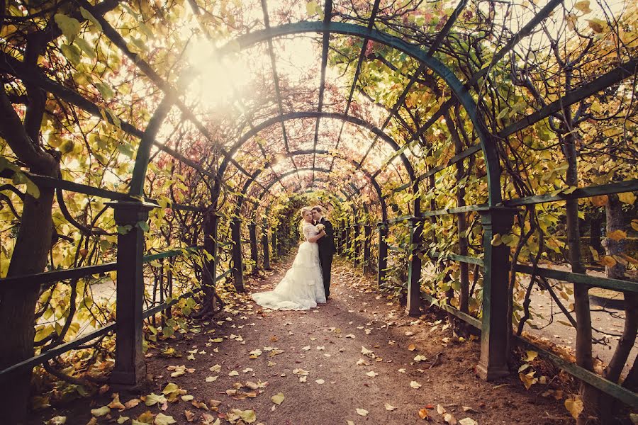 Photographe de mariage Anna Averina (averinafoto). Photo du 24 mai 2014