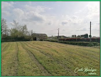 terrain à Sedze-Maubecq (64)