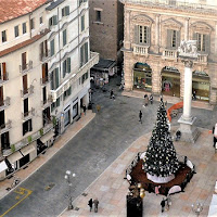 L'albero in piazza di 