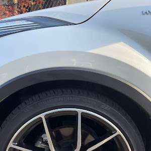 C-HR ZYX10