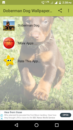 Doberman Dog Wallpaper HD