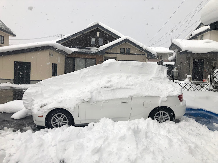 の投稿画像6枚目