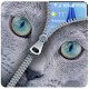 Download Blue Cat zipper Lockscreen: Blue Cute Cat 2017 For PC Windows and Mac 1.03.14