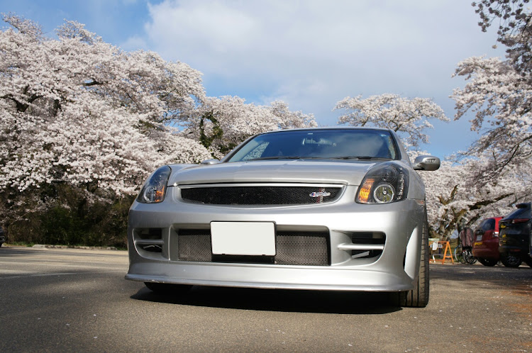 スカイラインの桜と愛車・ドライブ・ぼっち撮影会・ハワイアンカフェ・コロナ対策で人気無いとこへに関するカスタム事例の投稿画像1枚目