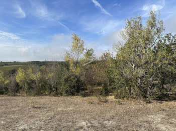 terrain à Limoux (11)