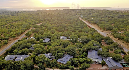 The bushveld wraps itself around the hotel buildings. 'With the construction, we only took down two trees,' says Nyazema.