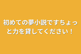 初めての夢小説ですちょっと力を貸してください！