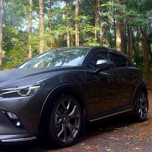 CX-3 DKEFW