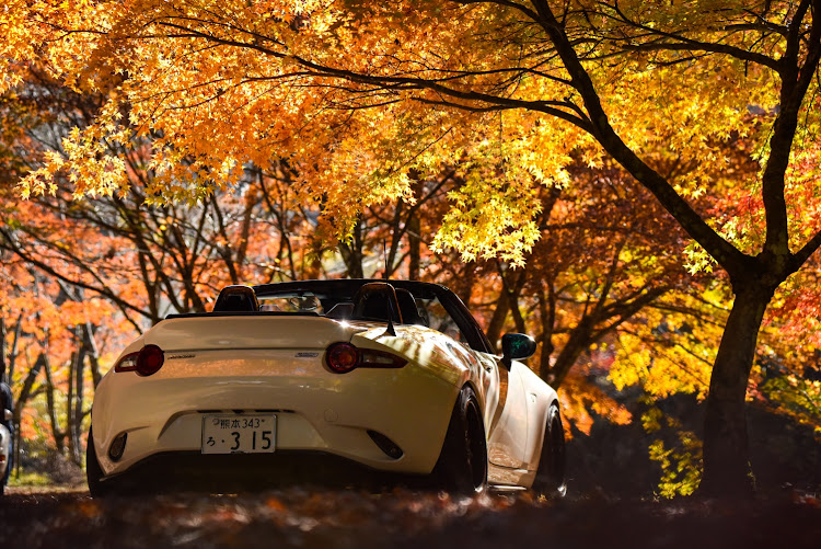 ロードスターの耶馬渓・ぼっちドライブ・紅葉ドライブに関するカスタム事例の投稿画像3枚目