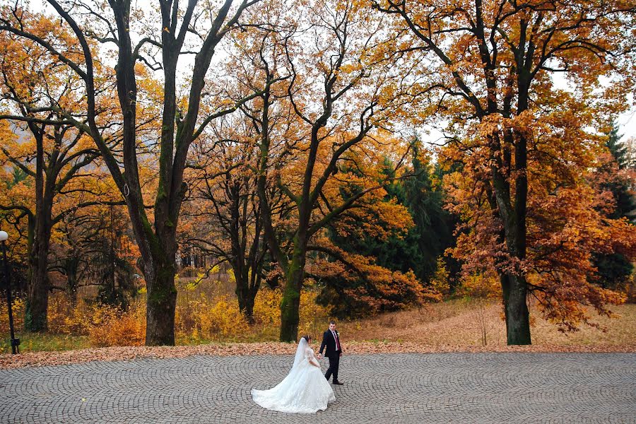 Hochzeitsfotograf Mikola Mukha (mykola). Foto vom 4. November 2018