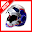 Helmet Download on Windows