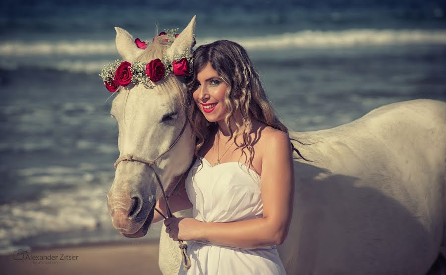 Fotografo di matrimoni Alexander Zitser (weddingshot). Foto del 5 dicembre 2015