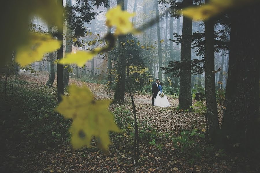 Svatební fotograf Ksenija Pučak (ksenijapucak). Fotografie z 15.června 2016