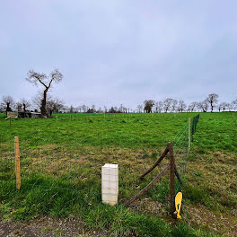 terrain à Baguer-Morvan (35)