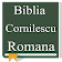 Biblia Cornilescu Romana icon