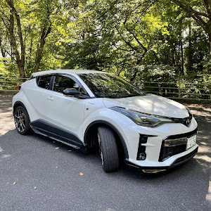 C-HR ZYX11