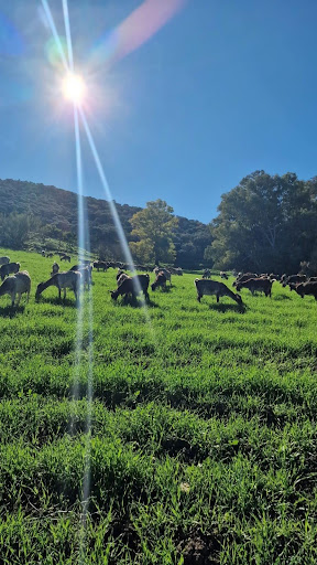 Villa avec jardin et terrasse 4