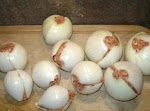 ** ONION BOMBS CAMPING FOOD** was pinched from <a href="https://www.facebook.com/photo.php?fbid=137546619770679" target="_blank">www.facebook.com.</a>