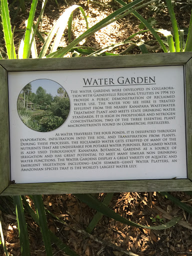 Water Garden