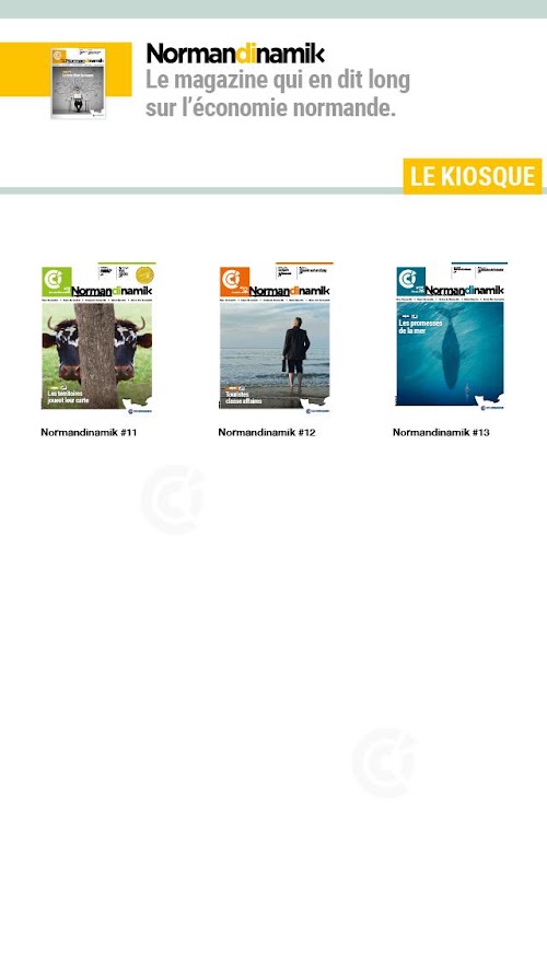 Android application Normandinamik screenshort
