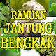 Download Ramuan Alami Jantung Bengkak Tanapa Efek Samping For PC Windows and Mac 5.5.5