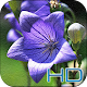 Download Amazing Flower HD Wallpaper For PC Windows and Mac 1.0