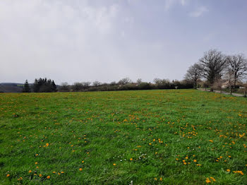 terrain à Arpajon-sur-Cère (15)