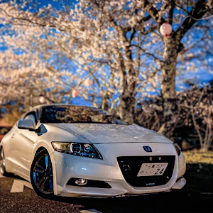 CR-Z ZF1