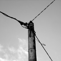 Linee telefoniche di 