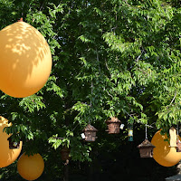 baloons di 