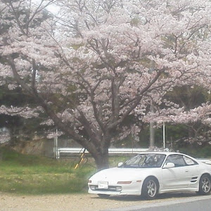 MR2 SW20