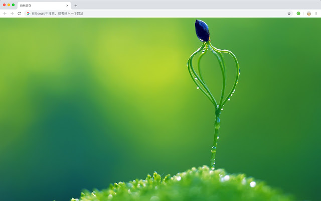 "Green Plants" Hot Scenery HD New Tabs Theme