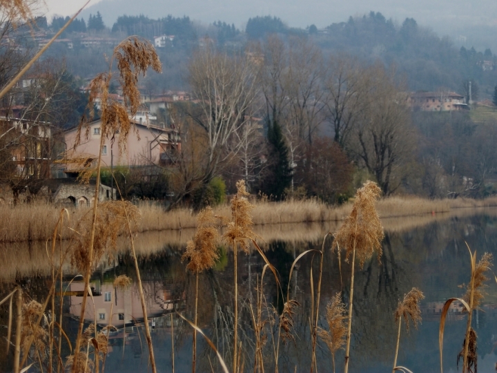 Specchio specchio delle mie brame... di salentinadoc