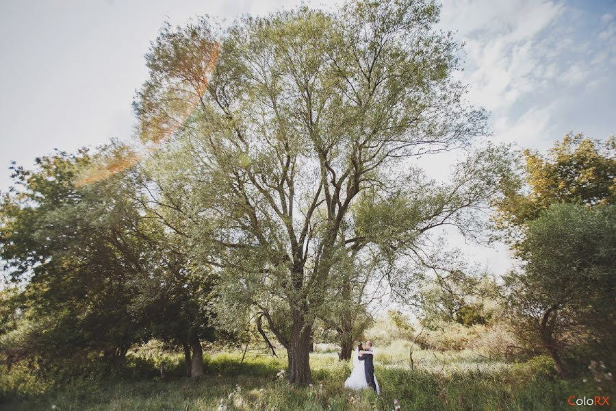 Wedding photographer Konstantin Cherenkov (kour). Photo of 9 September 2013