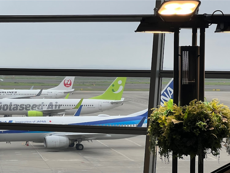 ムーヴキャンバスのふるさとへ帰省・飛行機の旅・淋しい実家じまい・実りの秋🌾・留守番ウラちゃん🍊に関するカスタム事例の投稿画像3枚目