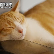 O CAT CAFÈ 貓咪咖啡廳