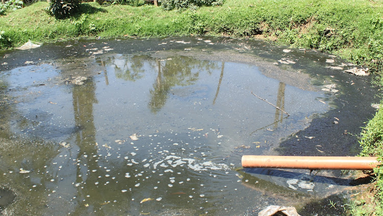 Discharge of effluent from one of the slaughterhouse in Bungoma town.