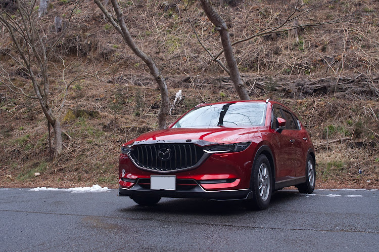 CX-5の神社巡り・バーチカルグリル・カメ活・mazdacamarades・花園神社に関するカスタム事例の投稿画像7枚目