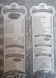 Brundavanam Restaurant And Bar menu 5