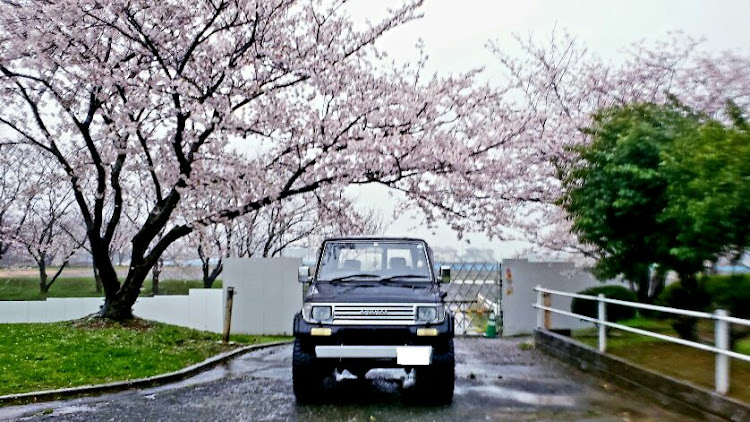 ランドクルーザープラドの撮影・春ですね・桜とコラボ・大雨に関するカスタム事例の投稿画像3枚目