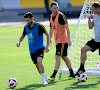 Thomas Vermaelen et Yannick Carrasco incertains avant le match contre la République tchèque