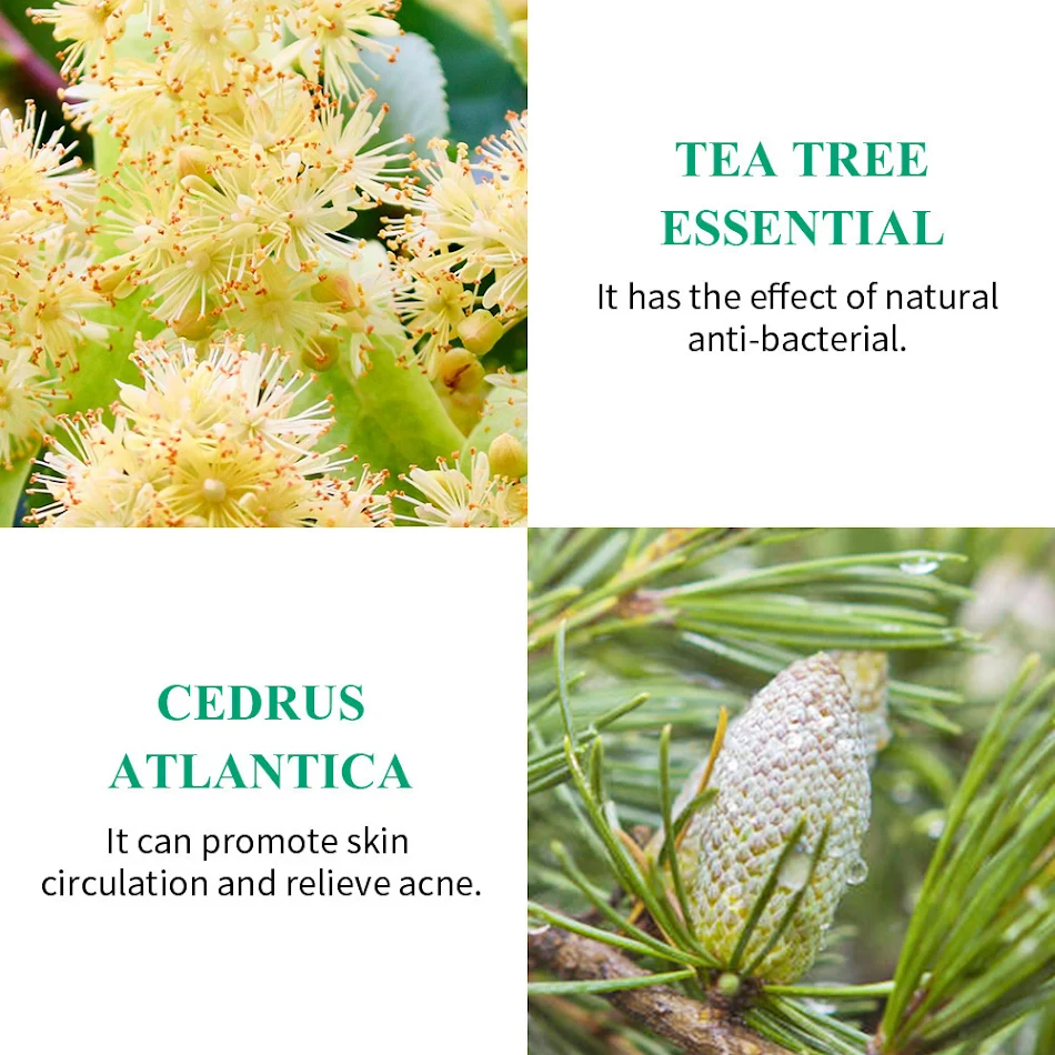Eenvoudige Home Brightening Tea Tree Repair Liquid. Herstelt en verheldert de huid. Natuurlijke verzorging met tea tree voor een stralende en gezonde uitstraling.