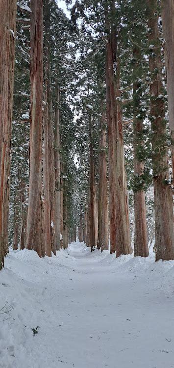 ステップワゴンスパーダの癒し・雪山・2月もよろしくお願いしますに関するカスタム事例の投稿画像7枚目
