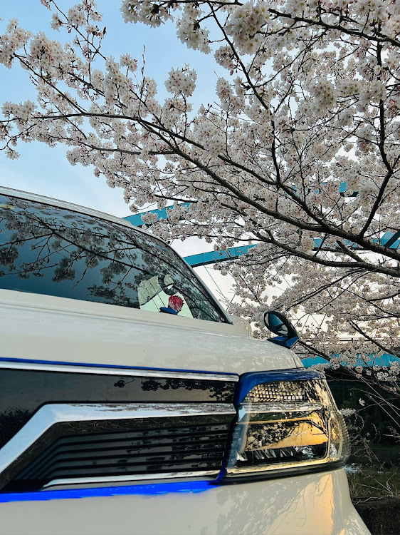 ハイゼットカーゴの桜とコラボ🌸・いつもの所・リベンジ成功？に関するカスタム事例の投稿画像4枚目